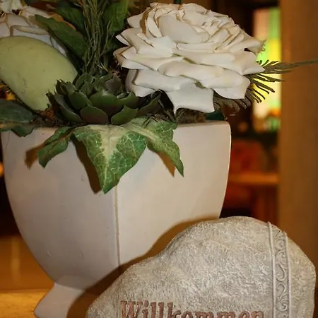 Hotel Hotel-restaurant Kohlenbacher-hof