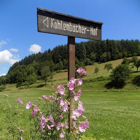 Hotel Hotel-restaurant Kohlenbacher-hof Waldkirch