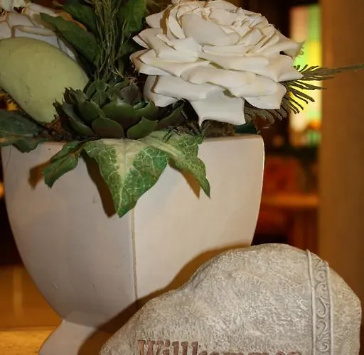 Hotel Hotel-restaurant Kohlenbacher-hof