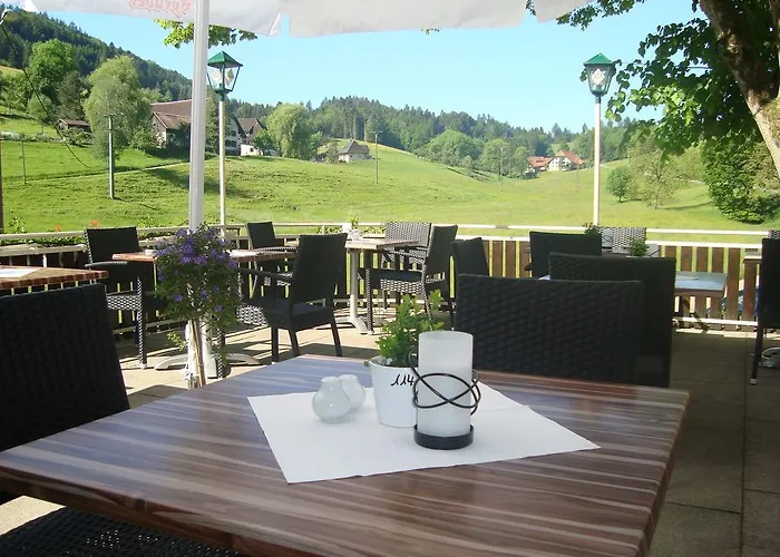 Hotel-restaurant Kohlenbacher-hof Hotel Waldkirch