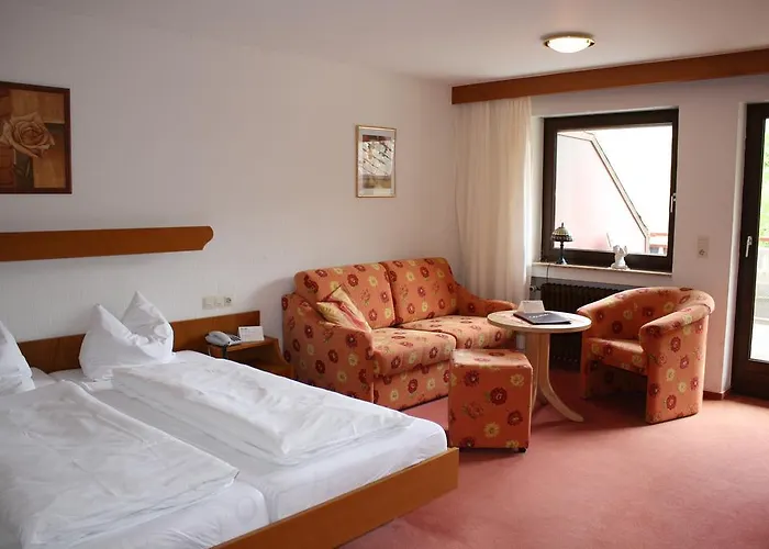 Hotel Hotel-restaurant Kohlenbacher-hof 3*