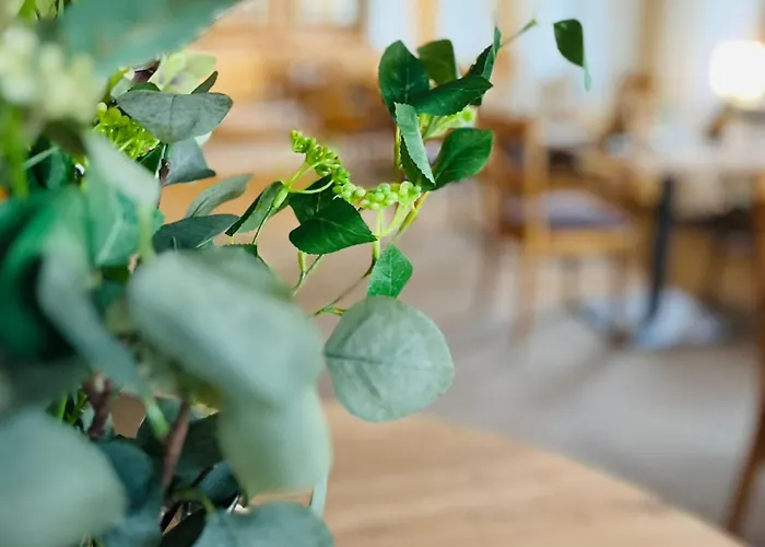 Hotel-restaurant Kohlenbacher-hof Hotel