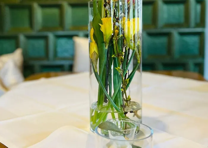 Hotel-restaurant Kohlenbacher-hof Hotel 3*